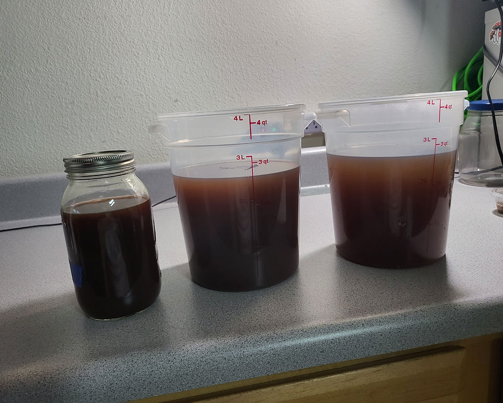 Thumbnail: Red Reishi Dual Extract Tinctures