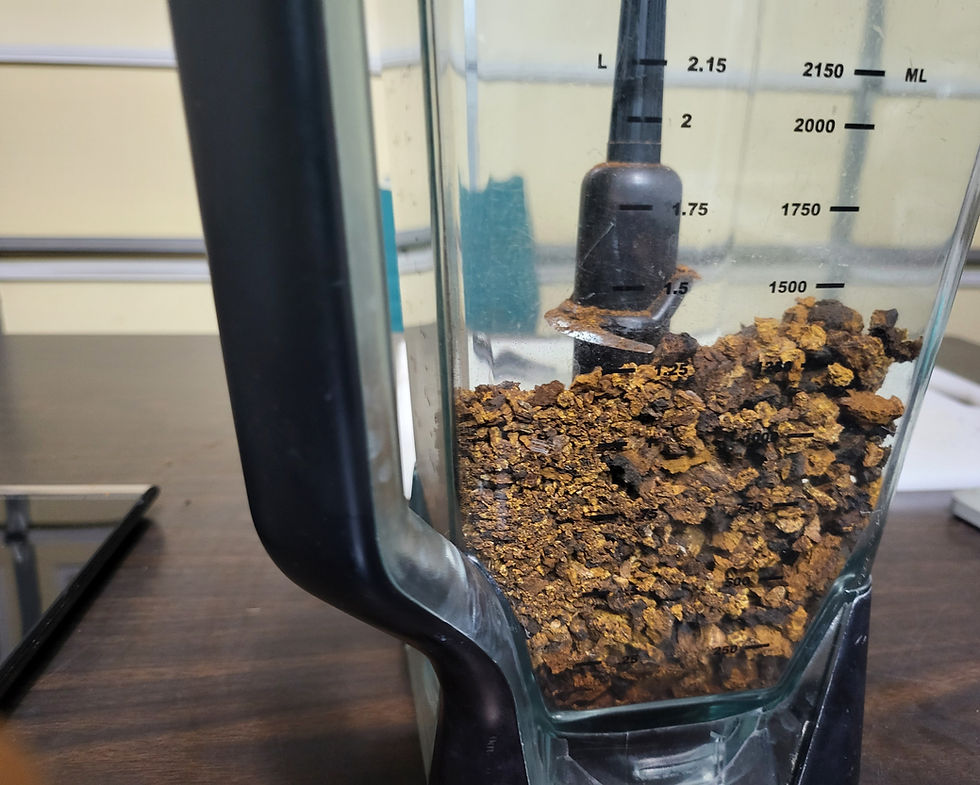 Thumbnail: Chaga Dual Extraction Tincture