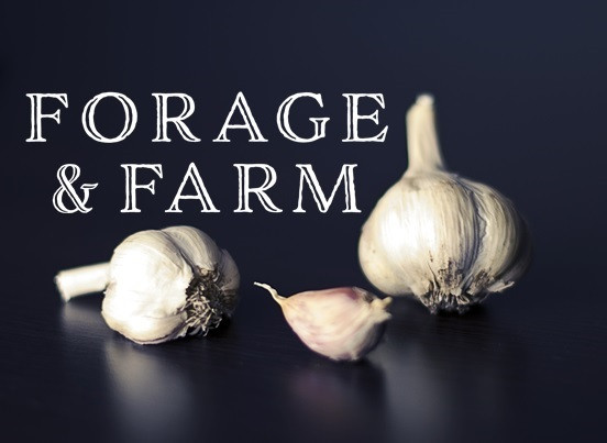 Forage & Farm