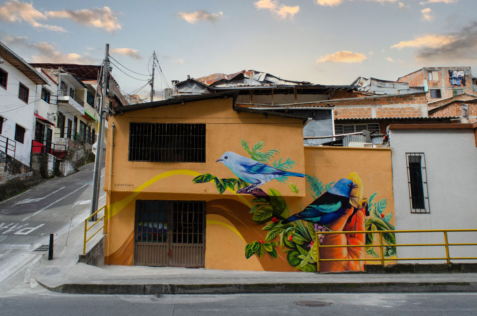 mural de aves Proyecto social con arte en muralismo Corocito nos une en pereira