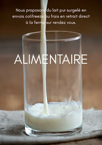 lait de jument alimentaire.webp