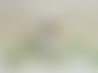 Sérum peau mixte : comment choisir le soin idéal pour rééquilibrer la peau ?