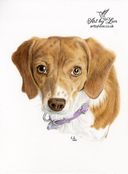 Detailed illustration of another loyal adopted dog