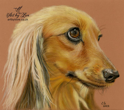 #dachshundlove #doglooks #dachshundoftheday_ #dogpets #doggieportrait #petgifts #artbygenuinelove