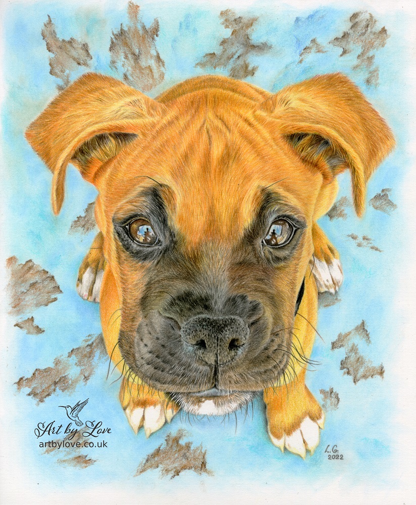 A portrait of a pet dog on a green background