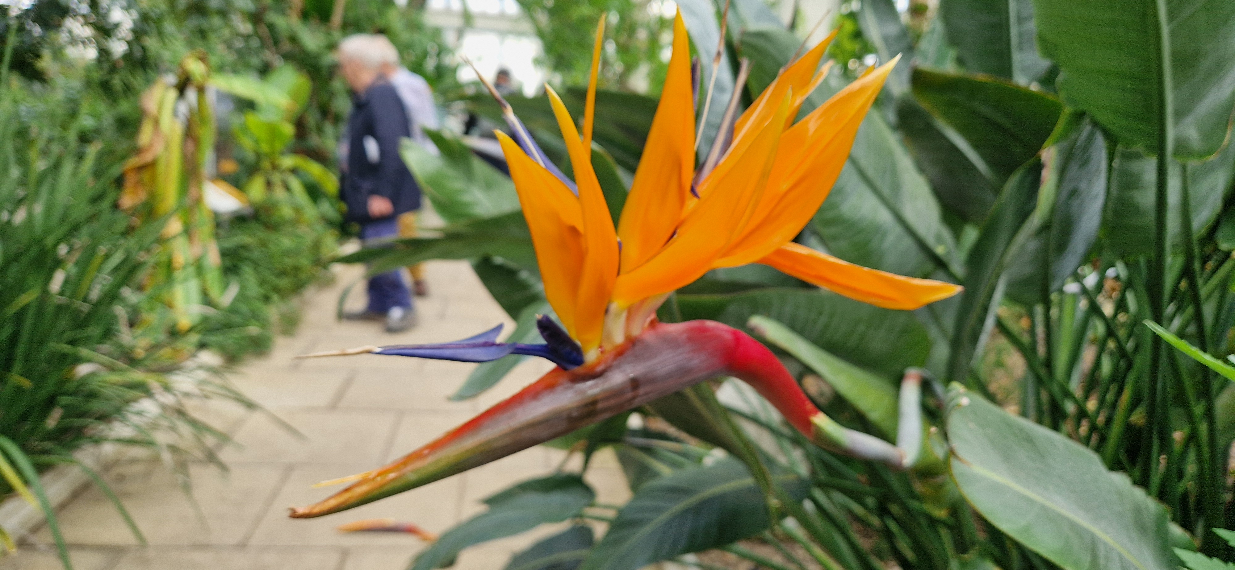 Beautiful scenery at Royal Kew Gardens