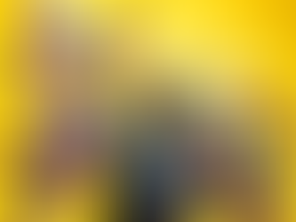 LEGO BATMAN: O FILME (2017)