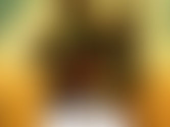 O LIVRO DE BOBA FETT (2021)