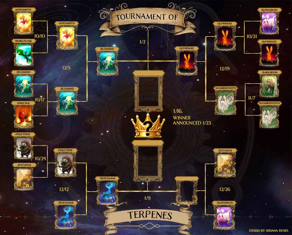 main bracket (12).jpg