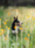DSC07905-Edit.jpg