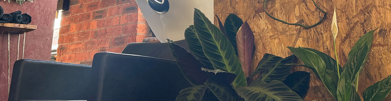 Hausof Harkin wash area_edited.jpg