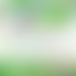 Hot House Digital Named Best Consulting Firm in 2020