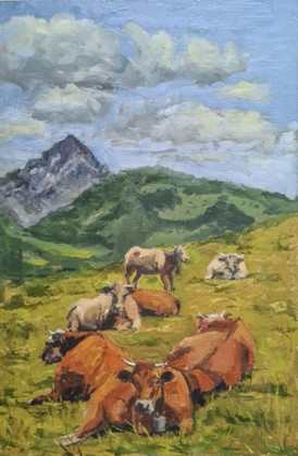 Pyrenean Cow circle
