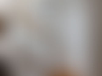 Why We Focus on Old Homes in South Minneapolis