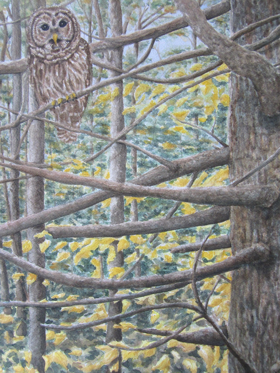 Guardian Of The Forest