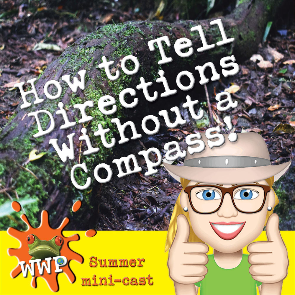 How to Tell Directions Without a Compass!