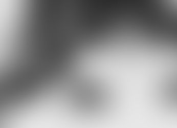 Nahaufnahme eines Huskies im Schnee in schwarz-weiß