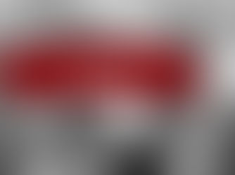 „Schwarz-weiße Illustration einer jungen Frau mit langen Haaren und markanten Gesichtstätowierungen, neben einem großen wolfähnlichen Hund. Über ihren Augen liegt ein roter Farbstreifen mit dem Schriftzug ‚Tikaani‘.“