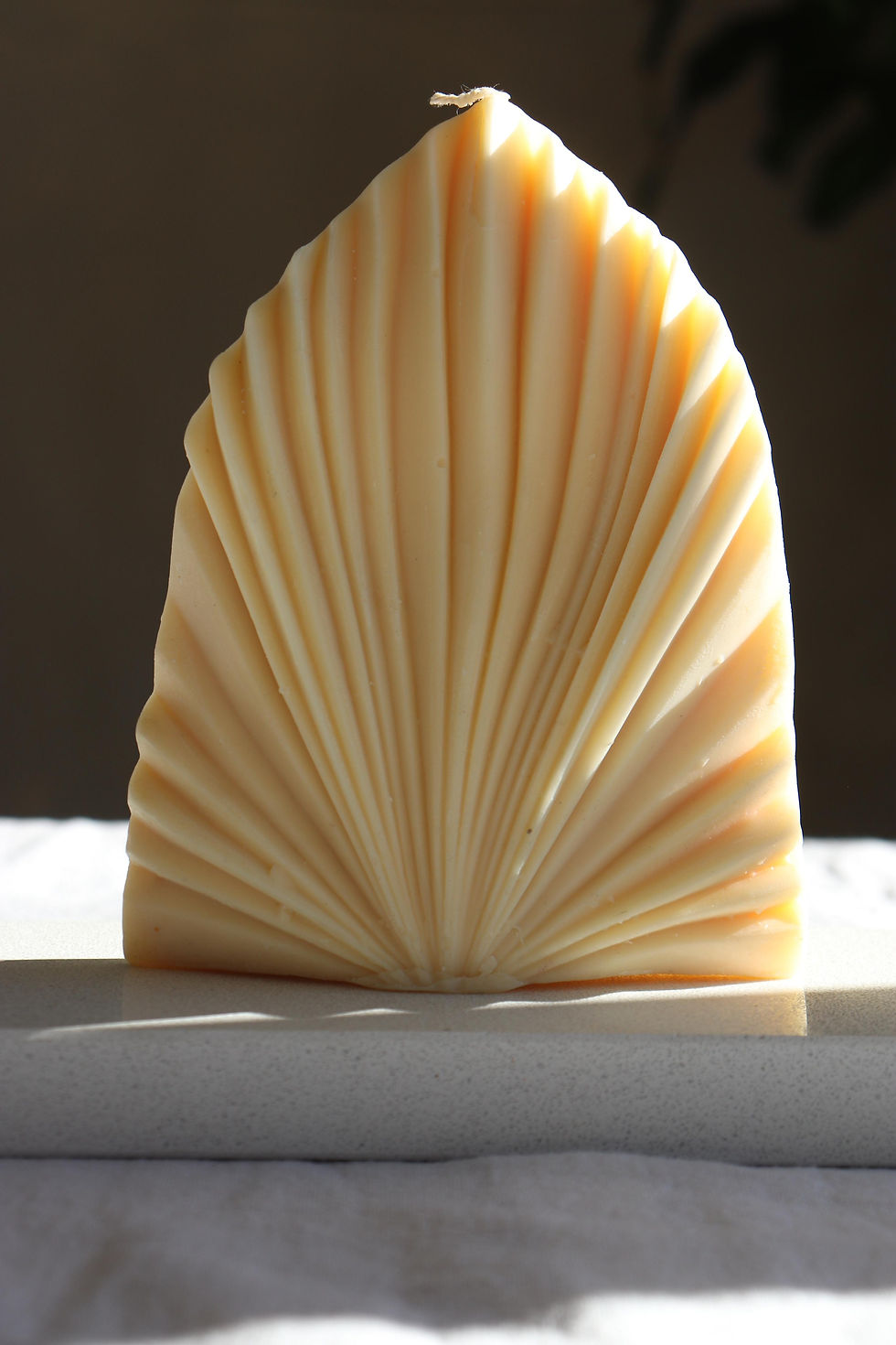 Miniatura: Velas Coral 