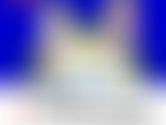 よしゃれ通り商店街で ビアガーデン!!