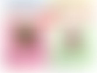 カモネット四重奏団 in しずく×CAN