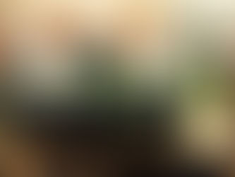 産直 新商品入荷のお知らせ