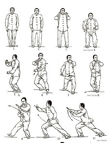 Examples of Tai Chi Chuan postures