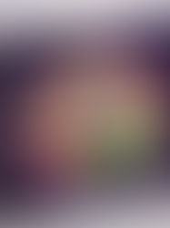 Kickstarter: Art and Storyboard Books for Polish Animation 'Diplodocus'