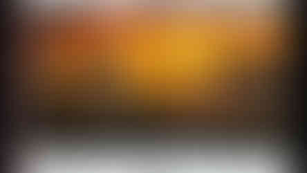 The Art of Assassin's Creed Shadows reivew