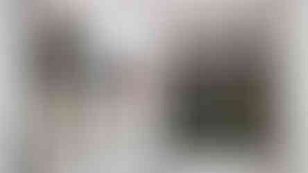 the art of stalker 2