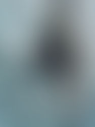 The Art of Assassin's Creed III