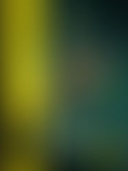 Citizen Sleeper 2: Design Works