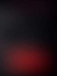 Book Review - Mortal Kombat: Flawless Victory