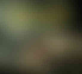 The Art of Returnal book cover