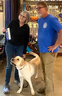 AKC English Labrador Columbia SC