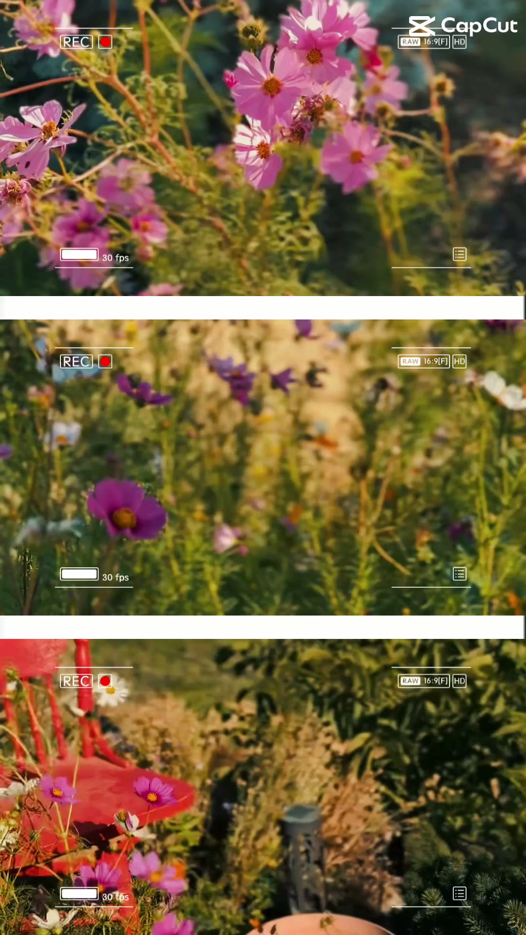 Spring 2026 Bouquets - Pre Order
