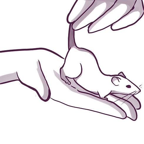 By%20the%20tail_edited.jpg
