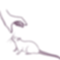 grab above.png