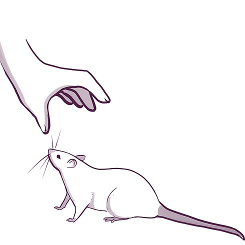 grab above.png