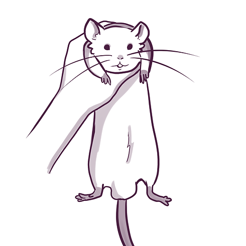 HOLD.png
