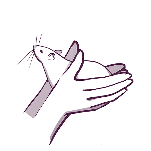 scoop.png
