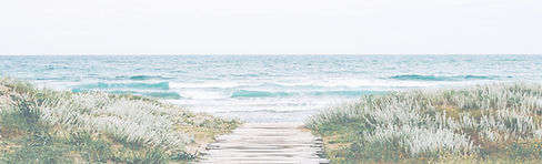 Seaside Wooden Pathway_edited.jpg
