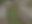 Untitled (4 x 3 in).png
