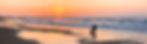 24683189_l_edited.jpg