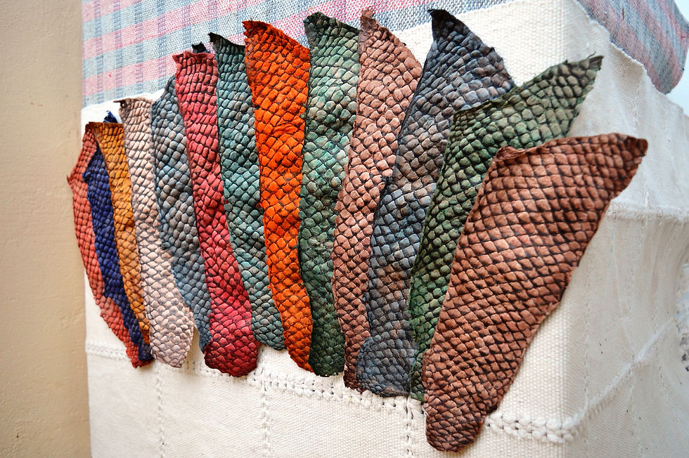 Peles de Tilápia (tingidas ou natural)