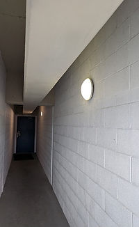 PXL_20250326_195603574.jpg