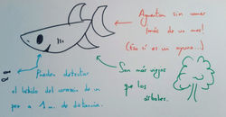 Imagen 2: ¿qué animal es?