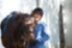 Erwachsene Reiten