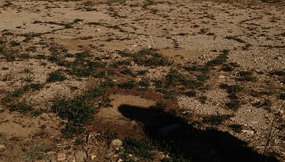 Point Ahto Kaiwen Ren.jpg