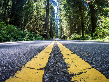 Free Your Mind at Newton B. Drury Scenic Parkway